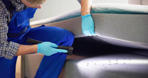 Best Pest Control for Homes  in Magnolia, AR
