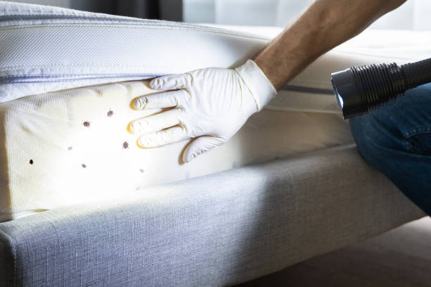 Pest Control Cost in Magnolia, AR