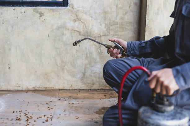 Best Pest Prevention Services  in Magnolia, AR