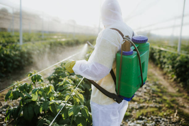 Best Best Pest Control Near Me  in Magnolia, AR
